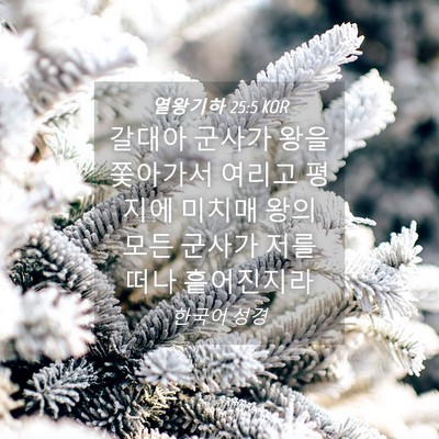 Picture 04 - 열왕기하 25:5 KOR - 갈대아 군사가 왕을 쫓아가서 여리고 - Bible Verse Picture