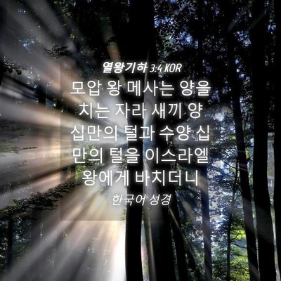 Picture 04 - 열왕기하 3:4 KOR - 모압 왕 메사는 양을 치는 자라 새끼 - Bible Verse Picture