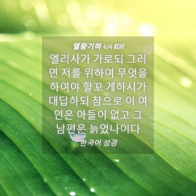 Picture 04 - 열왕기하 4:14 KOR - 엘리사가 가로되 그러면 저를 위하여 - Bible Verse Picture