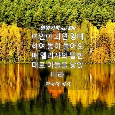 Picture 04 - 열왕기하 4:17 KOR - 여인이 과연 잉태하여 돐이 돌아오매 - Bible Verse Picture