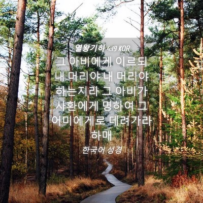 Picture 04 - 열왕기하 4:19 KOR - 그 아비에게 이르되 내 머리야 내 - Bible Verse Picture