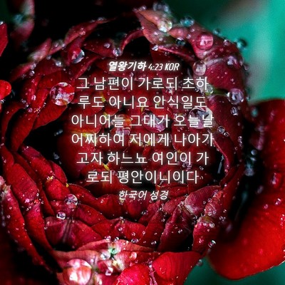 Picture 04 - 열왕기하 4:23 KOR - 그 남편이 가로되 초하루도 아니요 - Bible Verse Picture