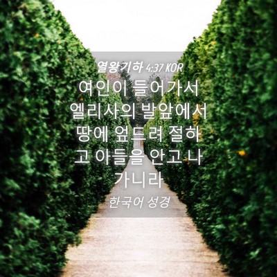 Picture 04 - 열왕기하 4:37 KOR - 여인이 들어가서 엘리사의 발앞에서 - Bible Verse Picture