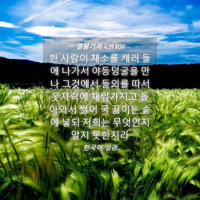 Picture 04 - 열왕기하 4:39 KOR - 한 사람이 채소를 캐러 들에 나가서 - Bible Verse Picture