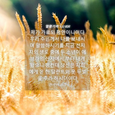 Picture 04 - 열왕기하 5:22 KOR - 저가 가로되 평안이니이다 우리 - Bible Verse Picture