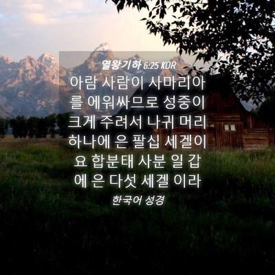 Picture 04 - 열왕기하 6:25 KOR - 아람 사람이 사마리아를 에워싸므로 - Bible Verse Picture