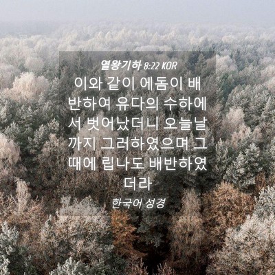 Picture 04 - 열왕기하 8:22 KOR - 이와 같이 에돔이 배반하여 유다의 - Bible Verse Picture