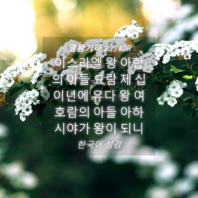 Picture 04 - 열왕기하 8:25 KOR - 이스라엘 왕 아합의 아들 요람 제 십 - Bible Verse Picture