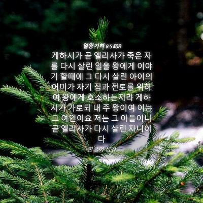 Picture 04 - 열왕기하 8:5 KOR - 게하시가 곧 엘리사가 죽은 자를 - Bible Verse Picture