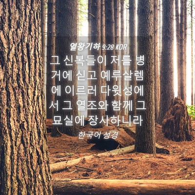Picture 04 - 열왕기하 9:28 KOR - 그 신복들이 저를 병거에 싣고 - Bible Verse Picture