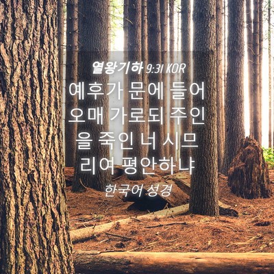 Picture 04 - 열왕기하 9:31 KOR - 예후가 문에 들어오매 가로되 주인을 - Bible Verse Picture