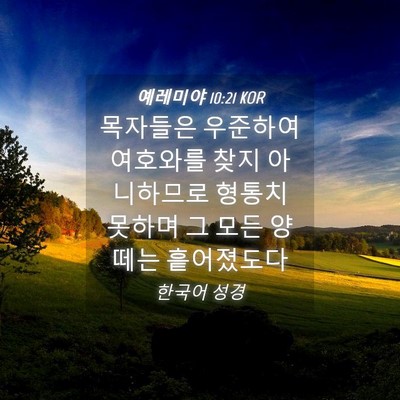 Picture 04 - 예레미야 10:21 KOR - 목자들은 우준하여 여호와를 찾지 - Bible Verse Picture