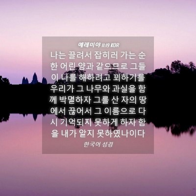 Picture 04 - 예레미야 11:19 KOR - 나는 끌려서 잡히러 가는 순한 어린 - Bible Verse Picture