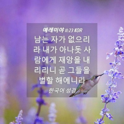 Picture 04 - 예레미야 11:23 KOR - 남는 자가 없으리라 내가 아나돗 - Bible Verse Picture