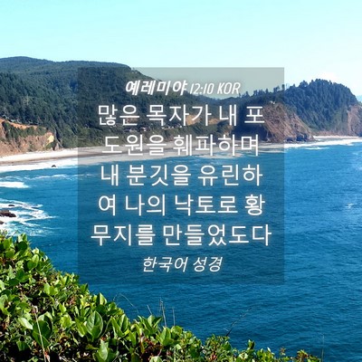 Picture 04 - 예레미야 12:10 KOR - 많은 목자가 내 포도원을 훼파하며 - Bible Verse Picture