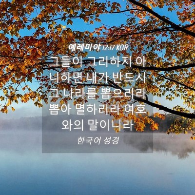 Picture 04 - 예레미야 12:17 KOR - 그들이 그리하지 아니하면 내가 - Bible Verse Picture