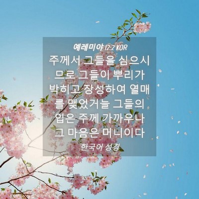 Picture 04 - 예레미야 12:2 KOR - 주께서 그들을 심으시므로 그들이 - Bible Verse Picture