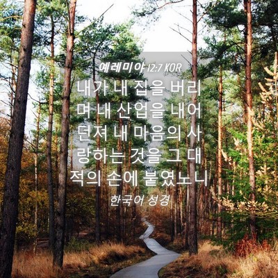 Picture 04 - 예레미야 12:7 KOR - 내가 내 집을 버리며 내 산업을 - Bible Verse Picture
