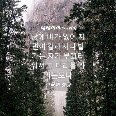 Picture 04 - 예레미야 14:4 KOR - 땅에 비가 없어 지면이 갈라지니 - Bible Verse Picture