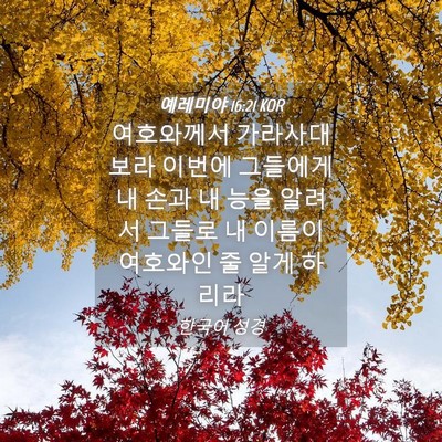 Picture 04 - 예레미야 16:21 KOR - 여호와께서 가라사대 보라 이번에 - Bible Verse Picture