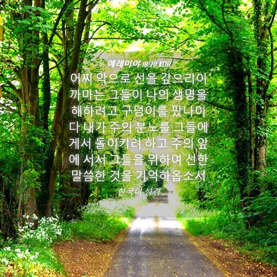 Picture 04 - 예레미야 18:20 KOR - 어찌 악으로 선을 갚으리이까마는 - Bible Verse Picture