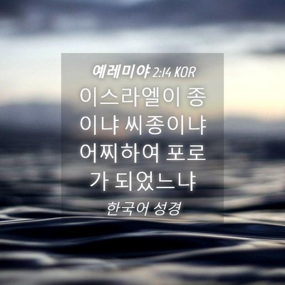 Picture 04 - 예레미야 2:14 KOR - 이스라엘이 종이냐 씨종이냐 - Bible Verse Picture