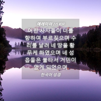 Picture 04 - 예레미야 2:15 KOR - 어린 사자들이 너를 향하여 - Bible Verse Picture