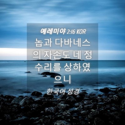 Picture 04 - 예레미야 2:16 KOR - 놉과 다바네스의 자손도 네 정수리를 - Bible Verse Picture