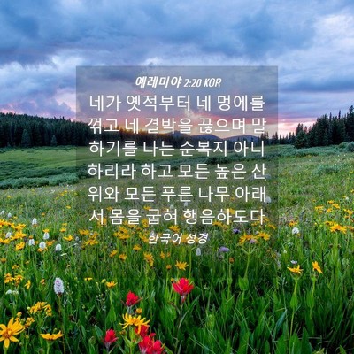 Picture 04 - 예레미야 2:20 KOR - 네가 옛적부터 네 멍에를 꺾고 네 - Bible Verse Picture