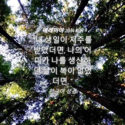 Picture 04 - 예레미야 20:14 KOR - 