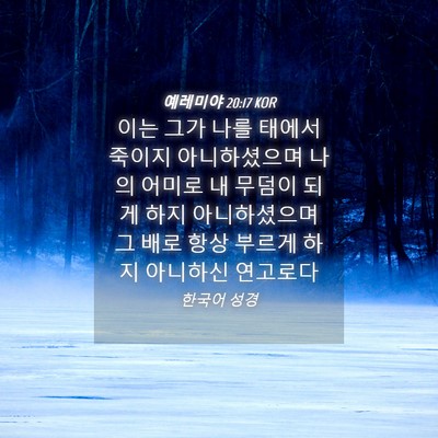 Picture 04 - 예레미야 20:17 KOR - 이는 그가 나를 태에서 죽이지 - Bible Verse Picture