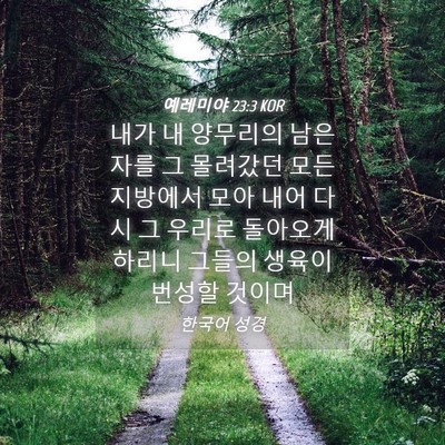Picture 04 - 예레미야 23:3 KOR - 내가 내 양무리의 남은 자를 그 - Bible Verse Picture