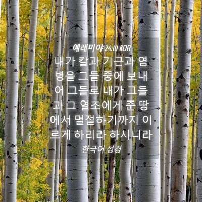 Picture 04 - 예레미야 24:10 KOR - 내가 칼과 기근과 염병을 그들 중에 - Bible Verse Picture