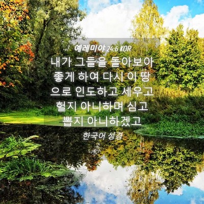 Picture 04 - 예레미야 24:6 KOR - 내가 그들을 돌아보아 좋게 하여 - Bible Verse Picture