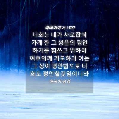 Picture 04 - 예레미야 29:7 KOR - 너희는 내가 사로잡혀 가게 한 그 - Bible Verse Picture