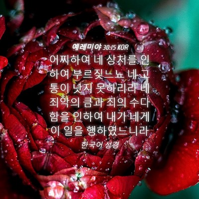 Picture 04 - 예레미야 30:15 KOR - 어찌하여 네 상처를 인하여 - Bible Verse Picture
