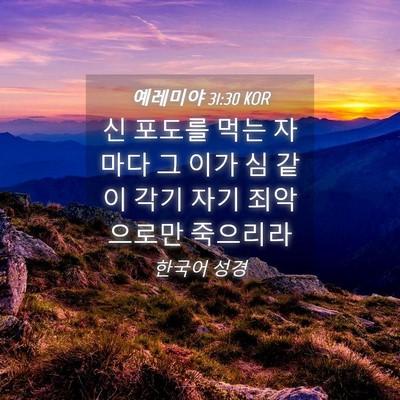 Picture 04 - 예레미야 31:30 KOR - 신 포도를 먹는 자마다 그 이가 심 - Bible Verse Picture