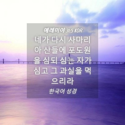 Picture 04 - 예레미야 31:5 KOR - 네가 다시 사마리아 산들에 포도원을 - Bible Verse Picture