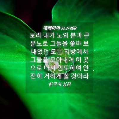 Picture 04 - 예레미야 32:37 KOR - 보라 내가 노와 분과 큰 분노로 - Bible Verse Picture