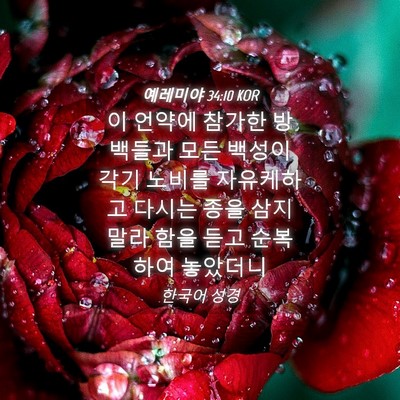 Picture 04 - 예레미야 34:10 KOR - 이 언약에 참가한 방백들과 모든 - Bible Verse Picture