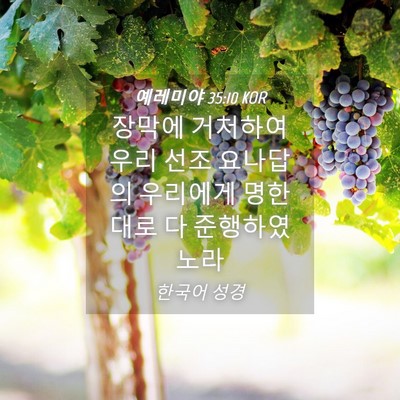 Picture 04 - 예레미야 35:10 KOR - 장막에 거처하여 우리 선조 요나답의 - Bible Verse Picture