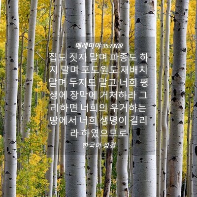 Picture 04 - 예레미야 35:7 KOR - 집도 짓지 말며 파종도 하지 말며 - Bible Verse Picture