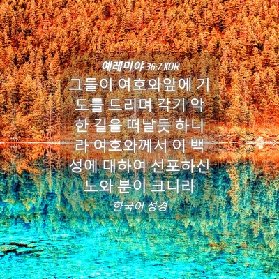 Picture 04 - 예레미야 36:7 KOR - 그들이 여호와앞에 기도를 드리며 - Bible Verse Picture