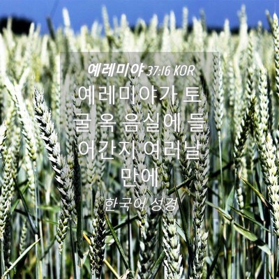 Picture 04 - 예레미야 37:16 KOR - 예레미야가 토굴 옥 음실에 들어간지 - Bible Verse Picture