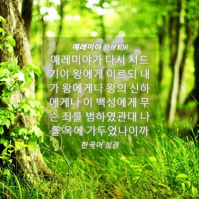 Picture 04 - 예레미야 37:18 KOR - 예레미야가 다시 시드기야 왕에게 - Bible Verse Picture