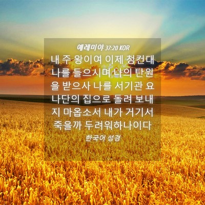 Picture 04 - 예레미야 37:20 KOR - 내 주 왕이여 이제 청컨대 나를 - Bible Verse Picture