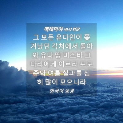 Picture 04 - 예레미야 40:12 KOR - 그 모든 유다인이 쫓겨났던 각처에서 - Bible Verse Picture