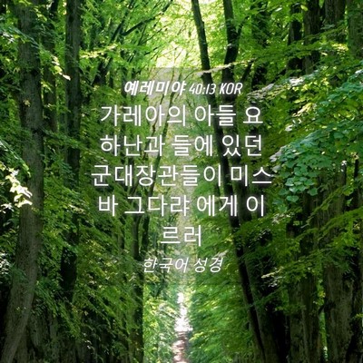 Picture 04 - 예레미야 40:13 KOR - 가레아의 아들 요하난과 들에 있던 - Bible Verse Picture