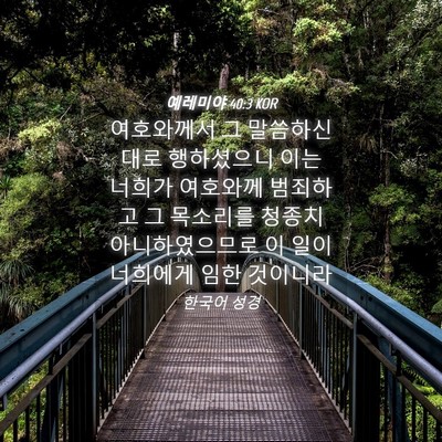 Picture 04 - 예레미야 40:3 KOR - 여호와께서 그 말씀하신 대로 - Bible Verse Picture