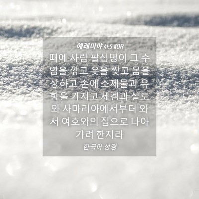 Picture 04 - 예레미야 41:5 KOR - 때에 사람 팔십명이 그 수염을 깎고 - Bible Verse Picture